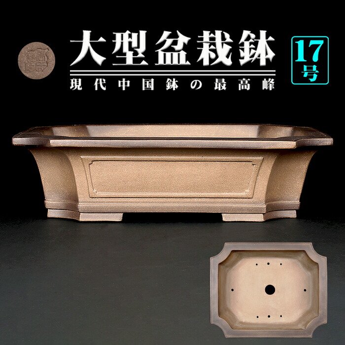 482 盆栽 盆栽鉢 植木鉢 中国鉢 482 盆栽 盆栽鉢 植木鉢 中国鉢 中国