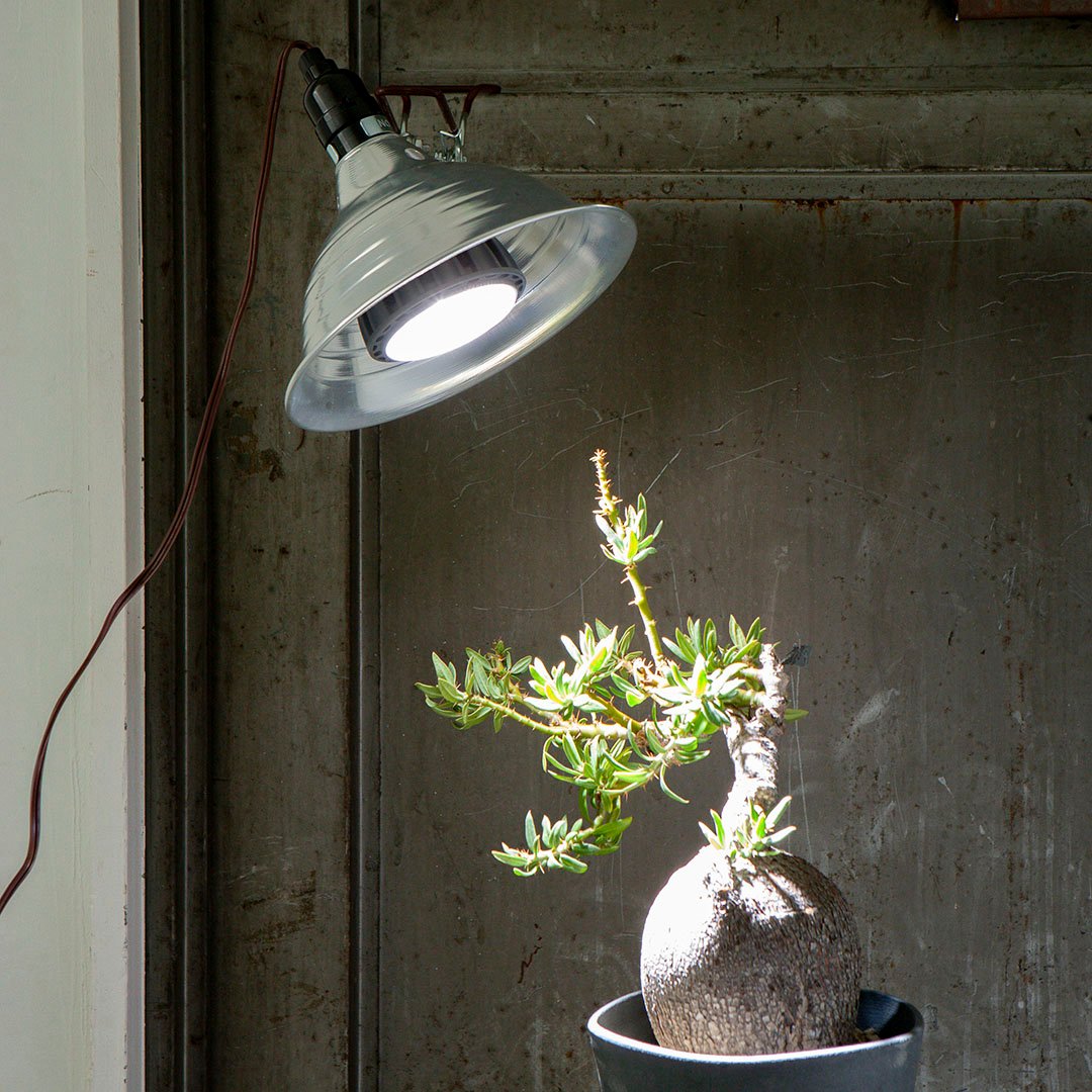 DULTON ONLINE SHOP | Helios Green LED(24W): ガーデン & アウトドア