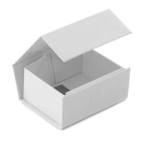 EZA1539_WHIT.webp