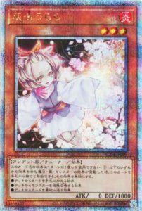 遊戯王灰流うらら クオシク 25th 遊戯王 灰流うらら 25th クオシク 灰