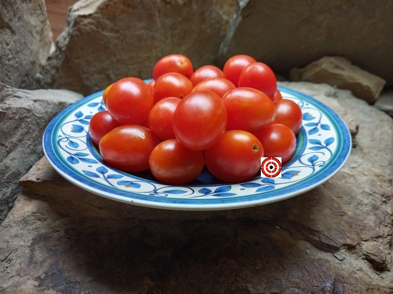 Reverend Michael Keyes Tomato-Dean Slater-Bounty Hunter Seeds