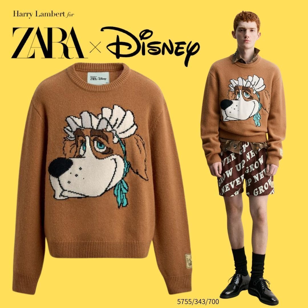 ZARA】JERSEY LANA NANA PETER PAN HARRY LAMBERT (ZARA/ニット