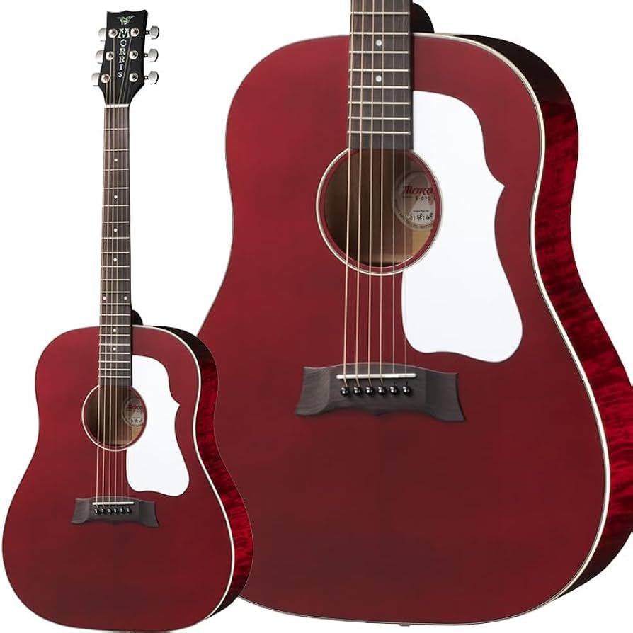 Amazon | Morris G-021E WR モーリス ラウンドショルダーシェイプ