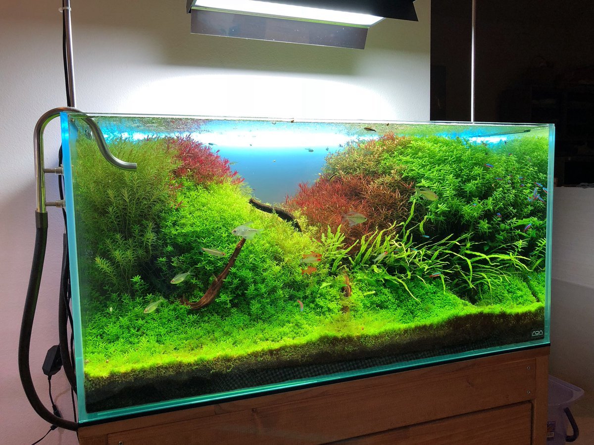1500 ZENSUI 水槽用LEDライト ブラック ゼンスイ 水槽用LEDランプ PLUS