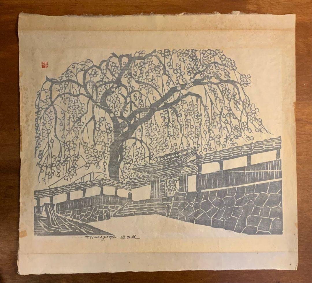 真作 大作 】枝垂れ桜 無弟（長谷川富三郎） マクリ