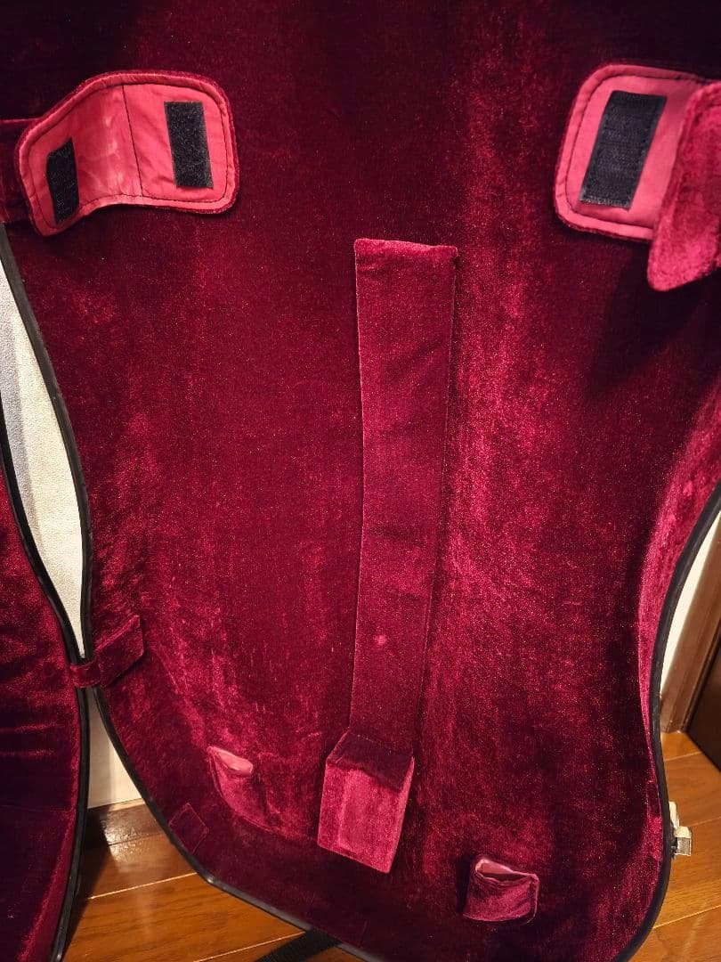 チェロ　ハードケース　Andreas Eastman　中古